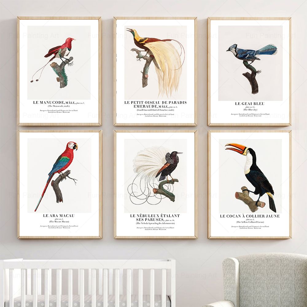 Furniture Paradise & Hardware Ghaziabad Photos - Vintage Paradise Bird cuadro sobre lienzo