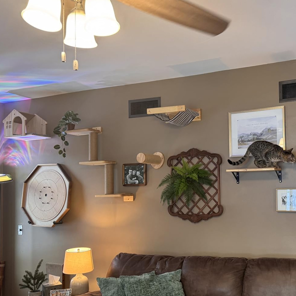 Furniture Paradise & Hardware Ghaziabad Photos - Muebles para Gatos, Puente Colgante de