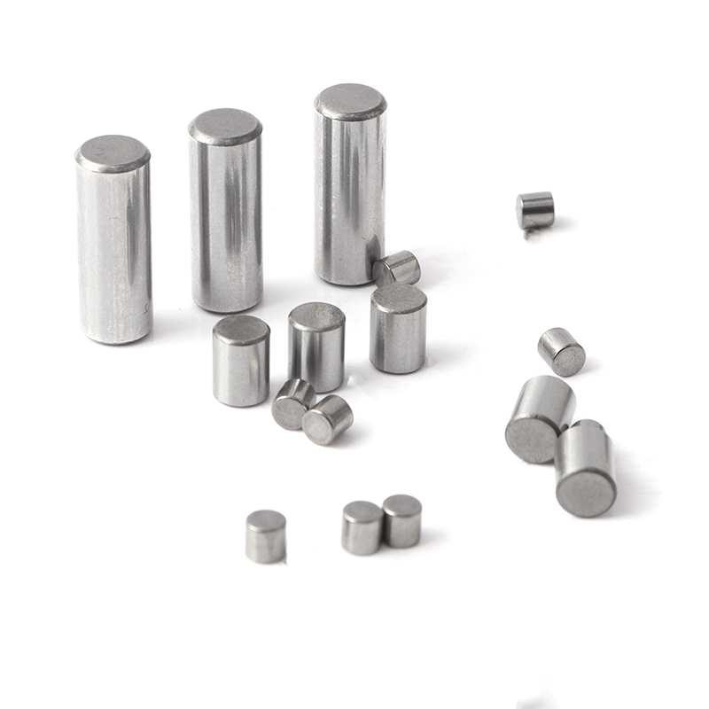 Pasador M2 M3 M4 M5, pasador c - Shelf Peg Support reseña y precio