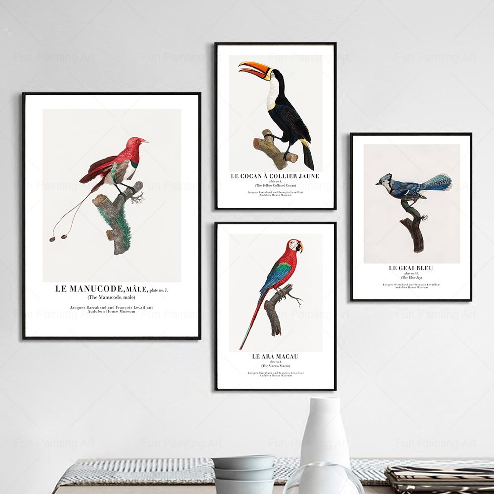 Vintage Paradise Bird cuadro s - Furniture Paradise & Hardware Ghaziabad Photos reseña y precio