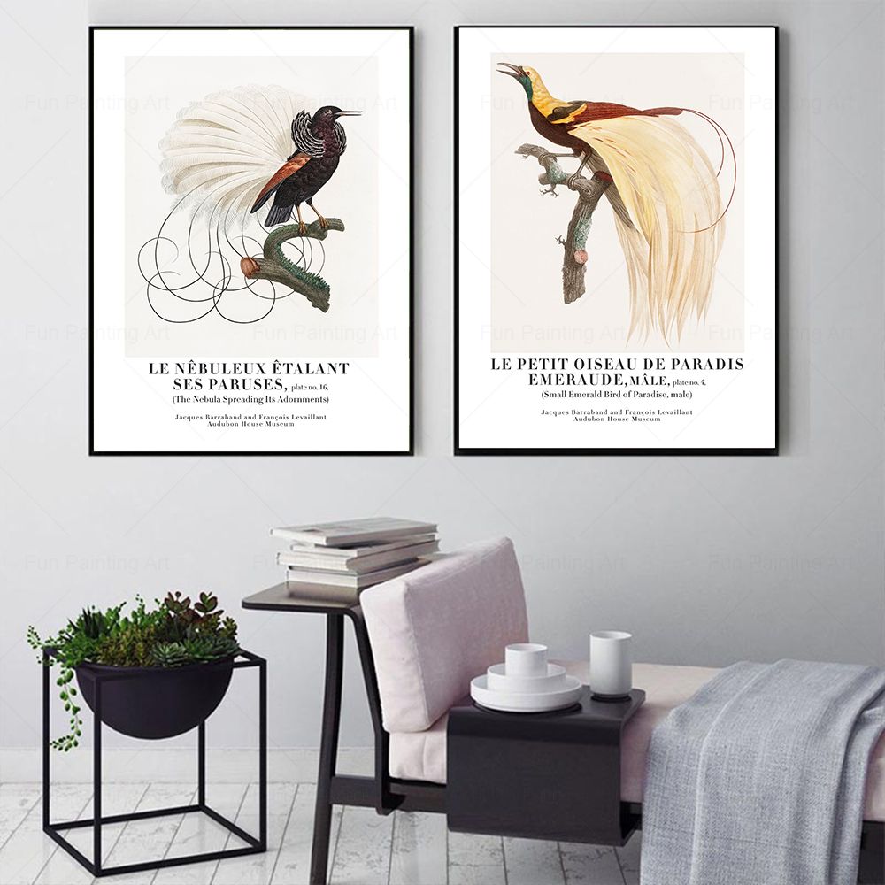 Vintage Paradise Bird cuadro s - Furniture Paradise & Hardware Ghaziabad Photos reseña y precio