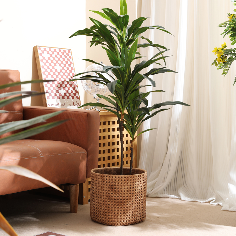 Muebles para apartamentos pequ - Furniture Paradise & Hardware Ghaziabad Photos reseña y precio